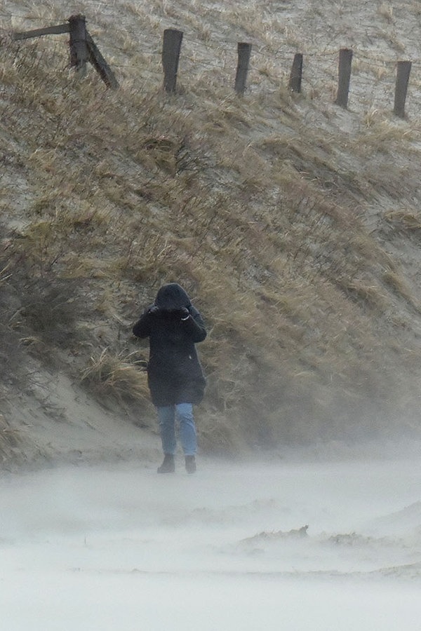 Sturm im Norden bleibt Auf "Franz" folgt "Gebhard" NDR