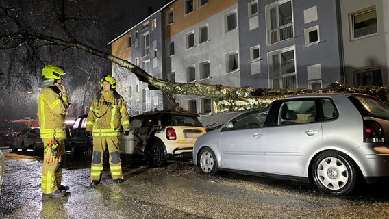 EIn Baum ist auf Autos gestürzt. © HannoverReporter 