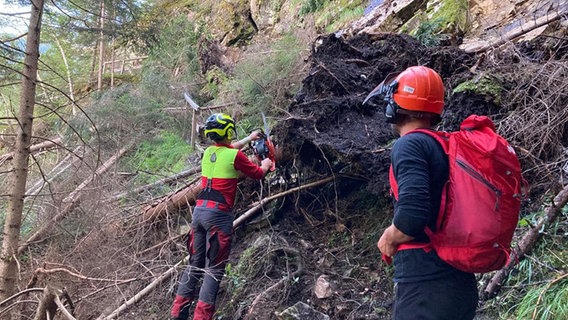 Mitarbeiter der Bergrettung Oetz zersägen einen Baum auf einem Weg. © Bergrettung Oetz 