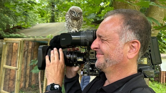 Ein Jungvogel sitzt bei einem Dreh auf einer Kamera, mit der ein Kameramann filmt. © NDR Foto: Alexander Felchow