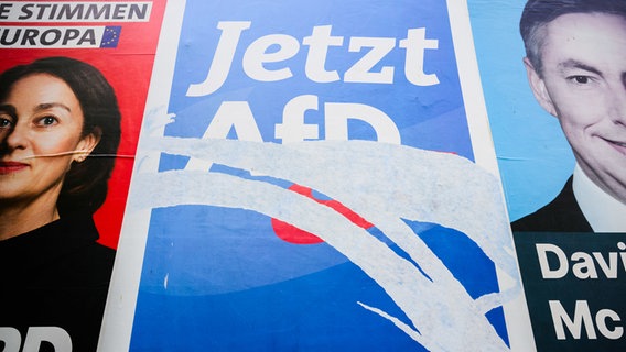 Ein beschädigtes Wahlplakat der Alternative für Deutschland AfD klebt auf einer Plakatwand neben Plakaten der SPD (l) und CDU (r). © dpa-Bildfunk Foto: Julian Stratenschulte