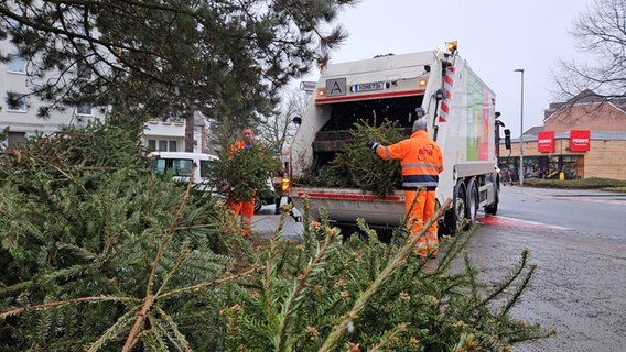 Müllmänner werfen in Hannover Weihnachtsbäume in ein Entsorgungsfahrzeug. © NDR Foto: Bernd Reiser