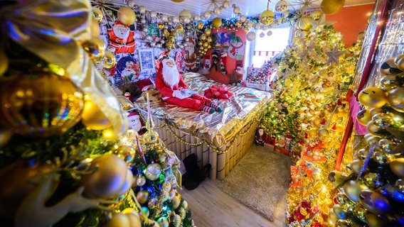 Weihnachtsbäume stehen im Gästezimmer im Haus der Familie Jeromin im Landkreis Schaumburg. © Julian Stratenschulte/dpa Foto: Julian Stratenschulte