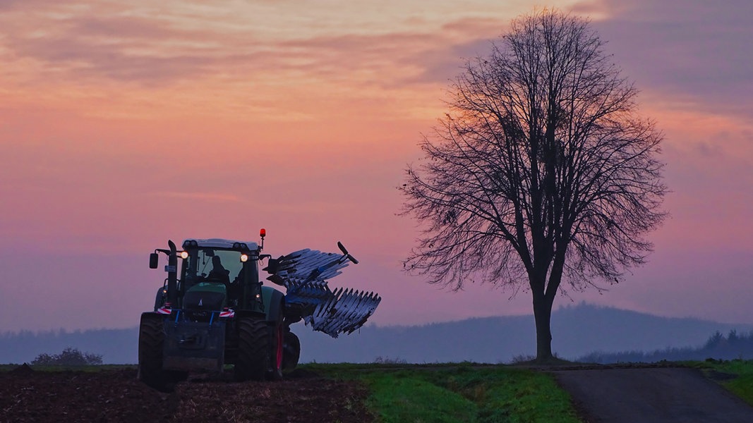 Ein Traktor pflügt im Sonnenaufgang in der Grohnder Feldmark ein Feld.