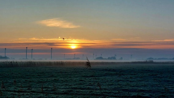 Sonnenaufgang in Butjadingen-Tossens. © NDR Foto: Cord Narten