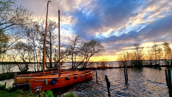 Kleine Segelboote liegen an einem Anlieger am Steinhuder Meer. © NDR Foto: Hans-Werner Dieth