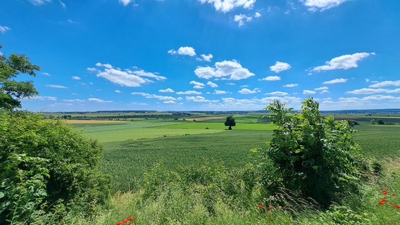 Blick über Felder in die Ferne bei blauem Himmel mit ein paar Wolken. © NDR Foto: Sandra Jahns