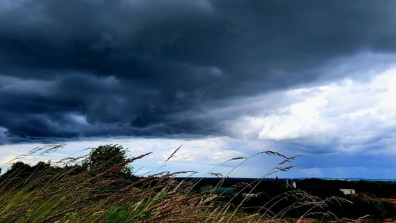 Regenwolken über einem Feld bei Nienburg. © NDR Foto: Heike Köster