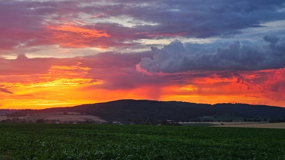 Die Sonne geht am Horizont über einem Hügel auf. © NDR Foto: Dirk Wenzel
