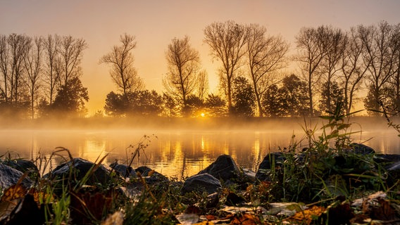 Sonnenaufgang bei Nebel über der Weser bei Nienburg © NDR Foto: Christian Ravenstein