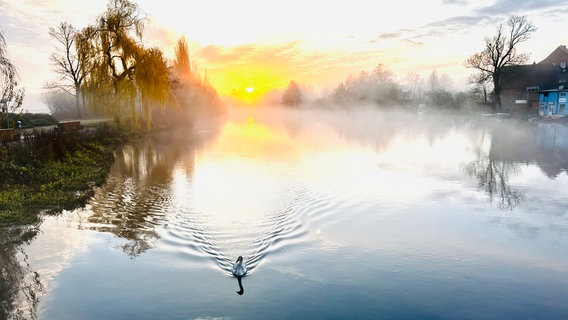 Nebel über der Aller in Celle © NDR Foto: Sigrid Rose