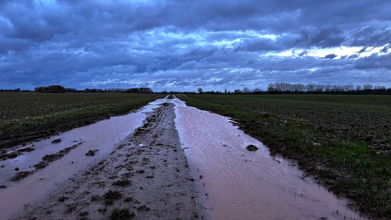 Ein grau-verhangener Wolkenhimmel über einem Matschweg. © NDR Foto: Michael Wieker