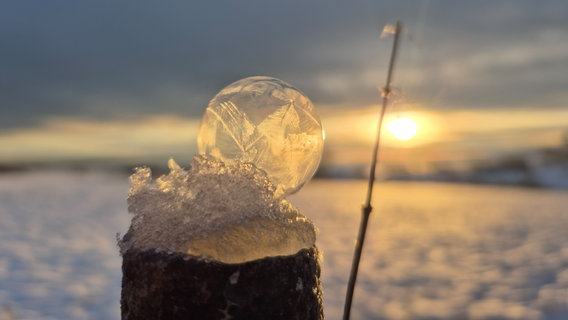 Eine gefrorene Seifenblase auf einem Pfahl. © NDR Foto: Svenja Hoppe