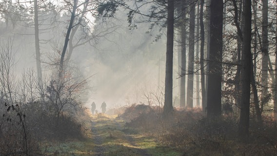 Zwei Menschen gehen bei Nebel durch einen Wald bei Uchte im Landkreis Nienburg. © NDR Foto: Bärbel Hertrampf