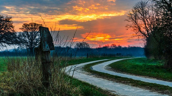 Ein Feldweg in der Wesermarsch bei Nienburg © NDR Foto: Christian Ravenstein