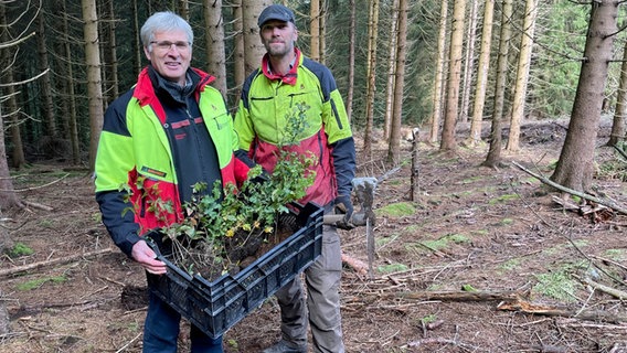 Förster Michael Rudolph und Forstwirtschaftsmeister Alexander Frese pflanzen im Harz neue Bäume. © NDR Info Foto: Nicole Ahles