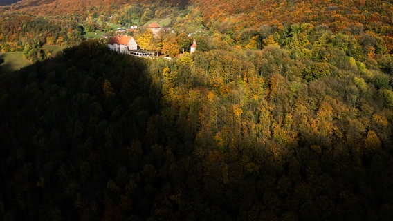 Eine Burg auf einem Berg im Wald wird von der Sonne. © Julian Stratenschulte/dpa Foto: dpa-Bildfunk