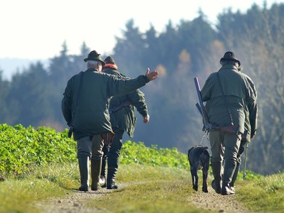 Niedersachsen Interesse Am Jagdschein Bleibt Gross Ndr De Nachrichten Niedersachsen