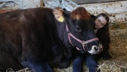 Mädchen sitzt auf dem Boden, kuschelt mit einer liegenden Kuh. © NDR 