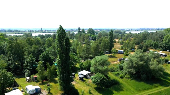 Der Campingplatz auf der Elbinsel Lühesand von oben. © NDR 