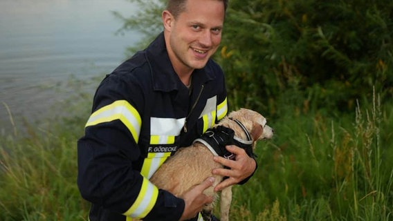 Ein Feuerwehrmann hält einen Hund auf dem Arm. © Feuerwehr Bleckede 