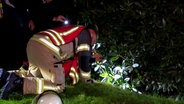 Feuerwehrleute untersuchen einen Rhododendron, der in Buxtehude plötzlich in ein Erdloch gerutscht ist. © TV Elbnews 