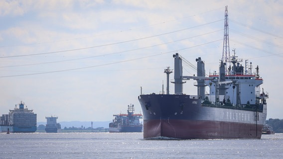 Ein Frachtschiff fährt vor anderen Schiffen auf der Elbe in Höhe Stadersand in Richtung Nordsee. © dpa-Bildfunk Foto: Focke Strangmann/dpa