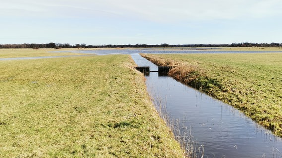 Das Wasser in den Gräben steht so hoch, dass es über die Ufer tritt und eine Grünlandfläche überschwemmt. © Biosphärenreservat Niedersächsische Elbtalaue Foto: Harald Karl