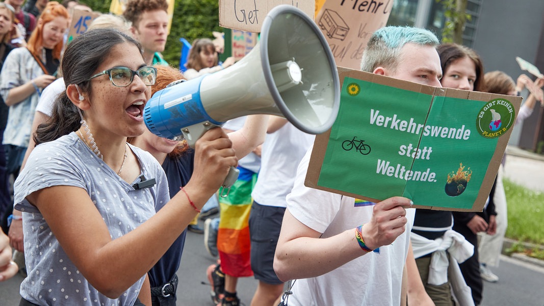 "Fridays For Future" Demonstriert Für Bahnstrecken-Neubau | NDR.de ...