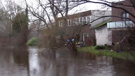 Gärten von Häusern in Horneburg sind überschwemmt. © Hellwig TV Elbnews Produktion 