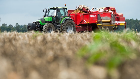 Ein Landwirt erntet bei Wriedel (Landkreis Uelzen) mit einem Roder Kartoffeln. © dpa-Bildfunk Foto: Philipp Schulze