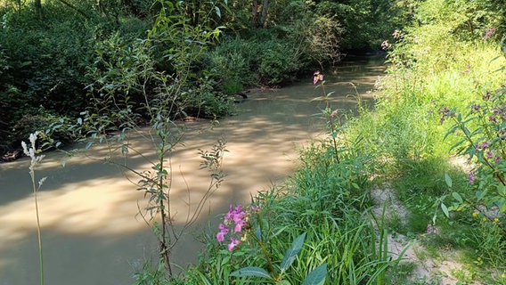 Ein verunreinigter Fluss mit trübem Wasser © Angelverein Weertzen / Angelverein Heeslingen 