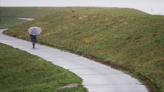 Eine Frau geht bei Tespe (Landkreis Harburg) bei Regen am Elbdeich entlang. © picture alliance/dpa Foto: Christian Charisius