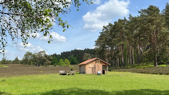 Schutzhütte in der Kronsbergheide bei Amelinghausen. © NDR Foto: Marlene Kukral