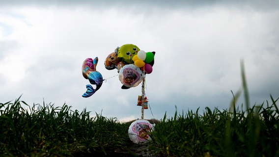 Bremervörde: Luftballons und Süßigkeiten hängen auf einem Feld und sollen bei der Suche nach einem vermissten Jungen helfen. © Daniel Bockwoldt/dpa Foto: Daniel Bockwoldt