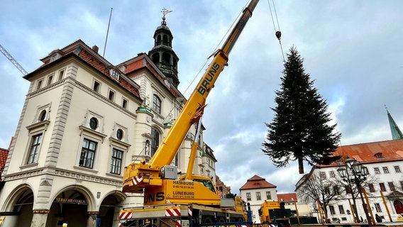 EIn Weihnachtsbaum wird in Lüneburg mit einem Kran aufgebaut. © Hansestadt Lüneburg 