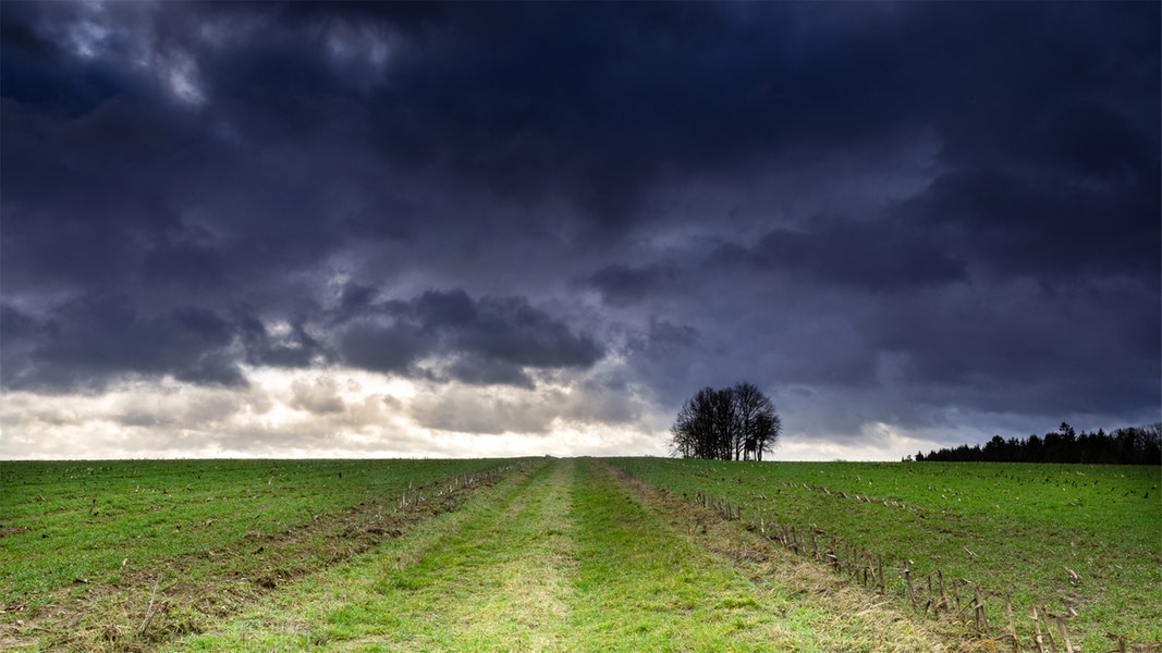 Ihre Wetterbilder  im Februar NDR de Fernsehen 