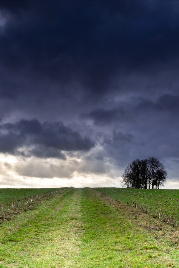 Ihre Wetterbilder  im Februar NDR de Fernsehen 