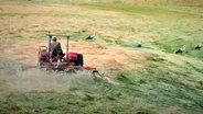 Ein Landwirt wendet Heu mit einem Traktor. © NDR Foto: Ortwin Heicappell