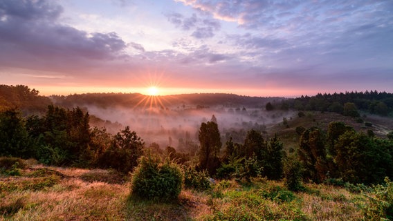 Die Sonne geht über dem Totengrund in der Lüneburger Heide auf. © NDR Foto: Dennis Karjetta