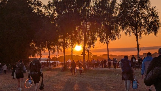 Gäste des Hurricane-Festivals stehen im Sonnenuntergang. © NDR Foto: Wiebke Krenz
