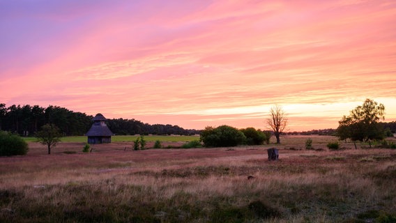 Die Sonne geht rot über der Lüneburger Heide bei Behringen unter. © NDR Foto: Dennis Karjetta