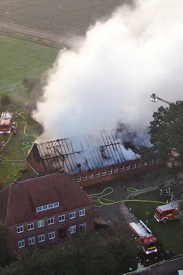 Cloppenburg: 360 Ferkel verenden bei Feuer | NDR.de - Nachrichten