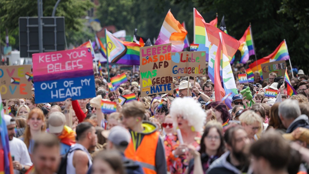 Teilnehmer des 30. Christopher Street Day in Oldenburg gehen mit Fahnen und Plakaten am Staugraben in der Innenstadt Oldenburgs entlang.