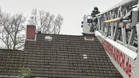 Eine Katze kauert auf einem Spitzdach, während sich die Feuerwehr mit einer Drehleiter nähert. © FW Aurich Foto: FW Aurich