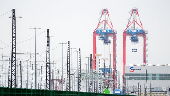 Mehrere Containerbrücken stehen auf dem Terminal von Eurogate am JadeWeserPort. © dpa-Bildfunk Foto: Hauke-Christian Dittrich