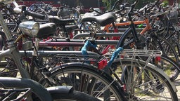 Mehrere angeschlossene Fahrräder. © NDR 