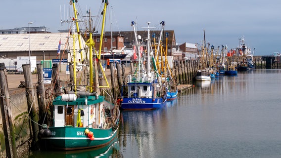 Alte Fischkutter liegen am Kai im Alten Fischereihafen in Cuxhaven. © picture alliance / Zoonar | Juergen Strathmann Foto: Jürgen Strathmann