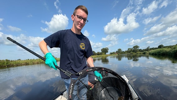 Ein Mann sammelt mit einem Kescher einen toten Fisch aus der Jümme © NDR Foto: Pascal Klug