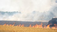 Feuer auf einem Feld in >Groß Ippener (Landkreis Oldenburg). © NWM 